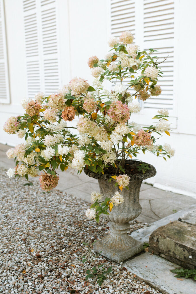 Décoration élégante Château de Séréville